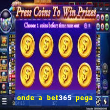 onde a bet365 pega as estatisticas